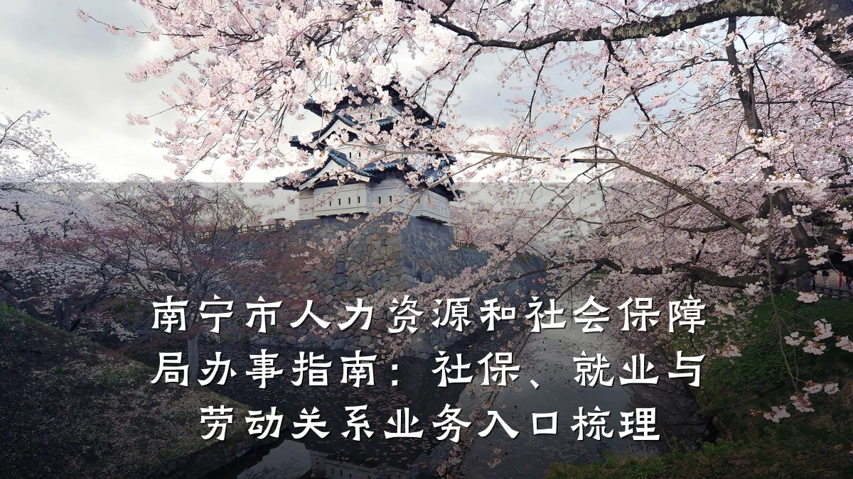 南宁市人力资源和社会保障局办事指南：社保、就业与劳动关系业务入口梳理