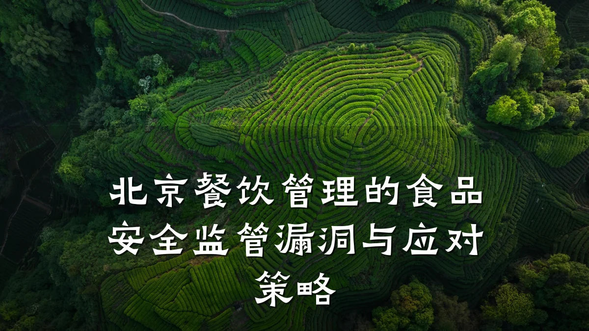 北京餐饮管理的食品安全监管漏洞与应对策略