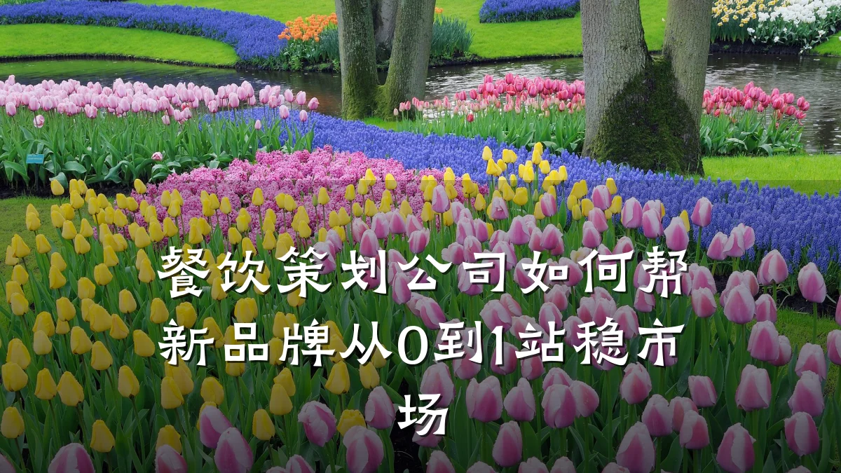 餐饮策划公司如何帮新品牌从0到1站稳市场