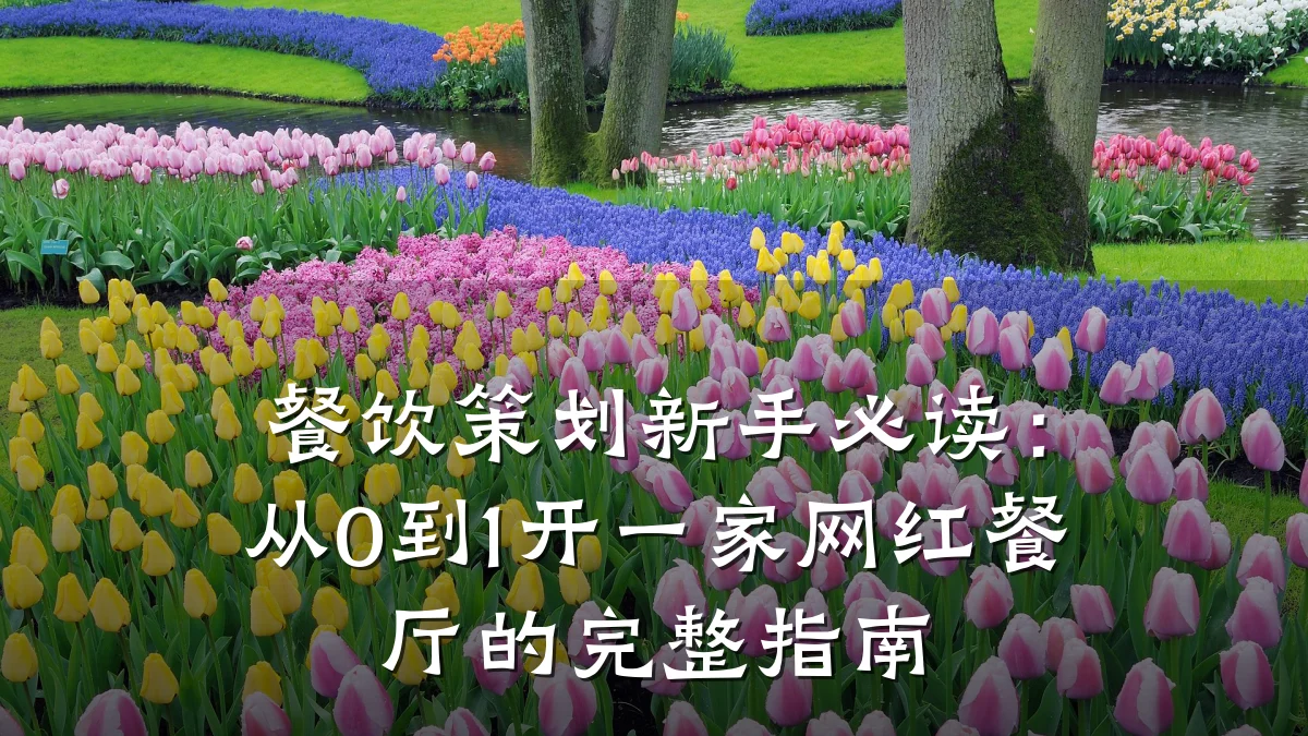 餐饮策划新手必读：从0到1开一家网红餐厅的完整指南