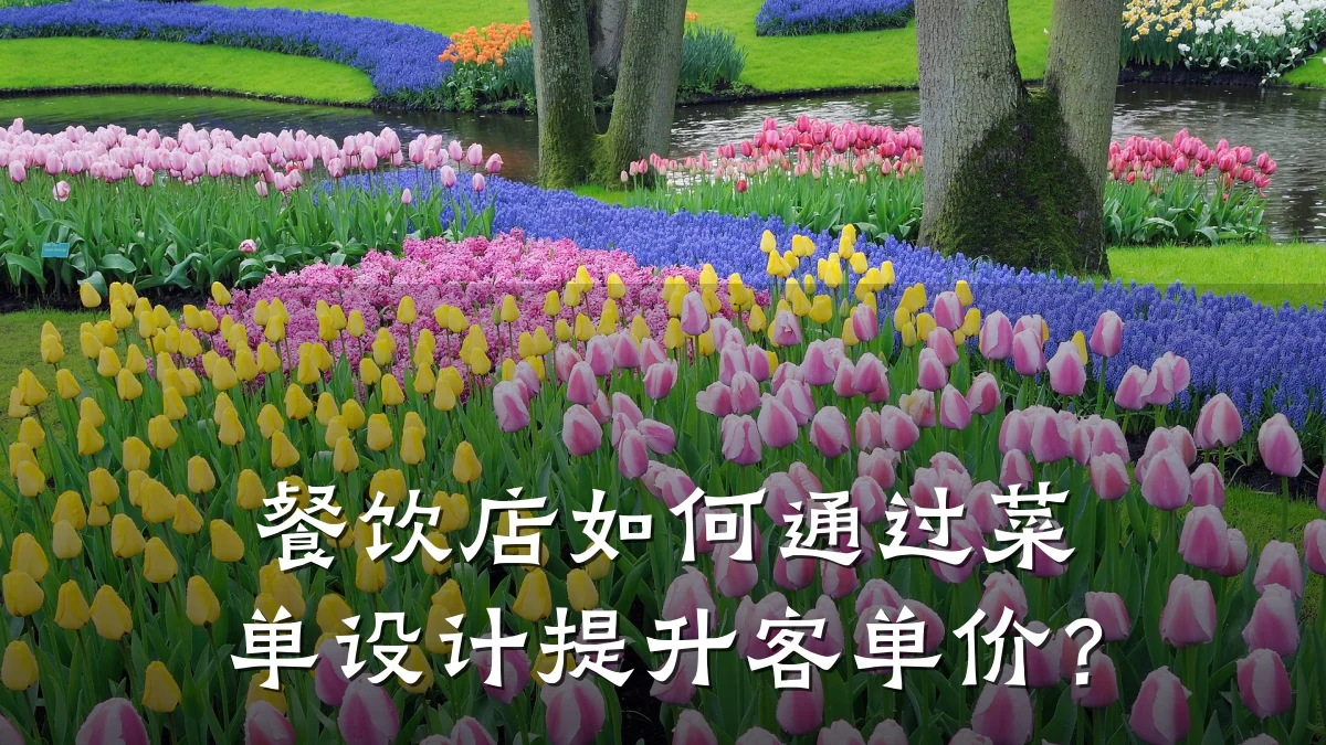 餐饮店如何通过菜单设计提升客单价？