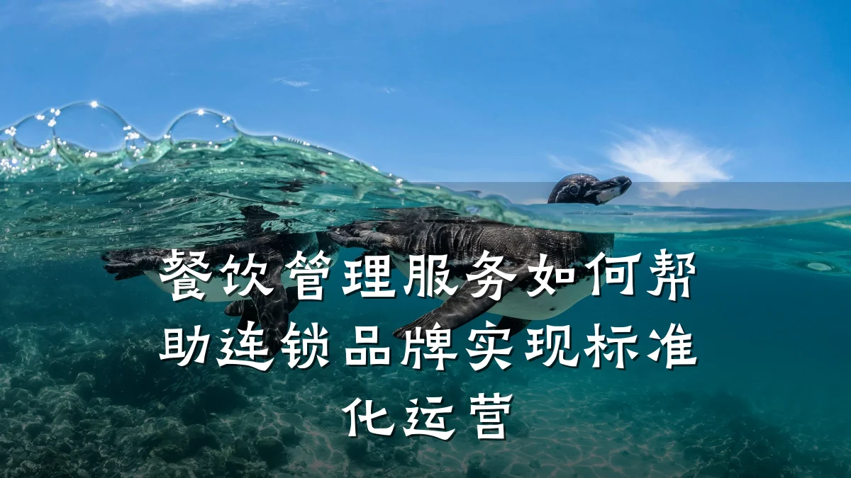 餐饮管理服务如何帮助连锁品牌实现标准化运营