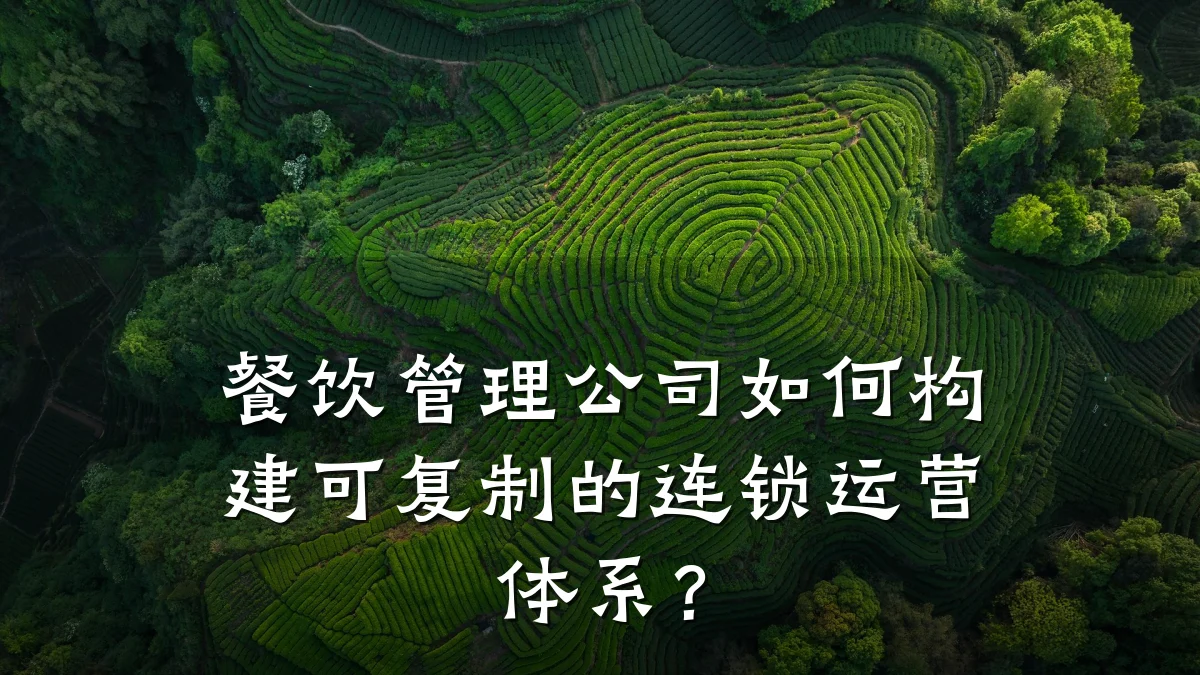 餐饮管理公司如何构建可复制的连锁运营体系？