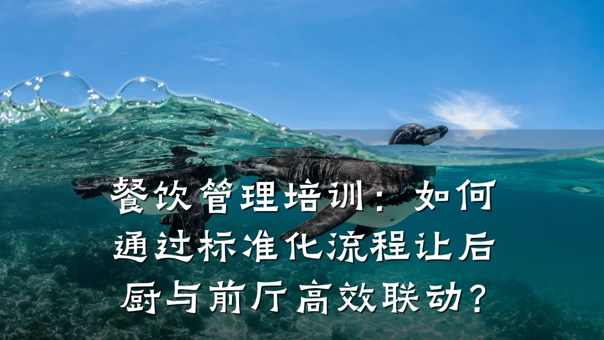 餐饮管理培训：如何通过标准化流程让后厨与前厅高效联动？