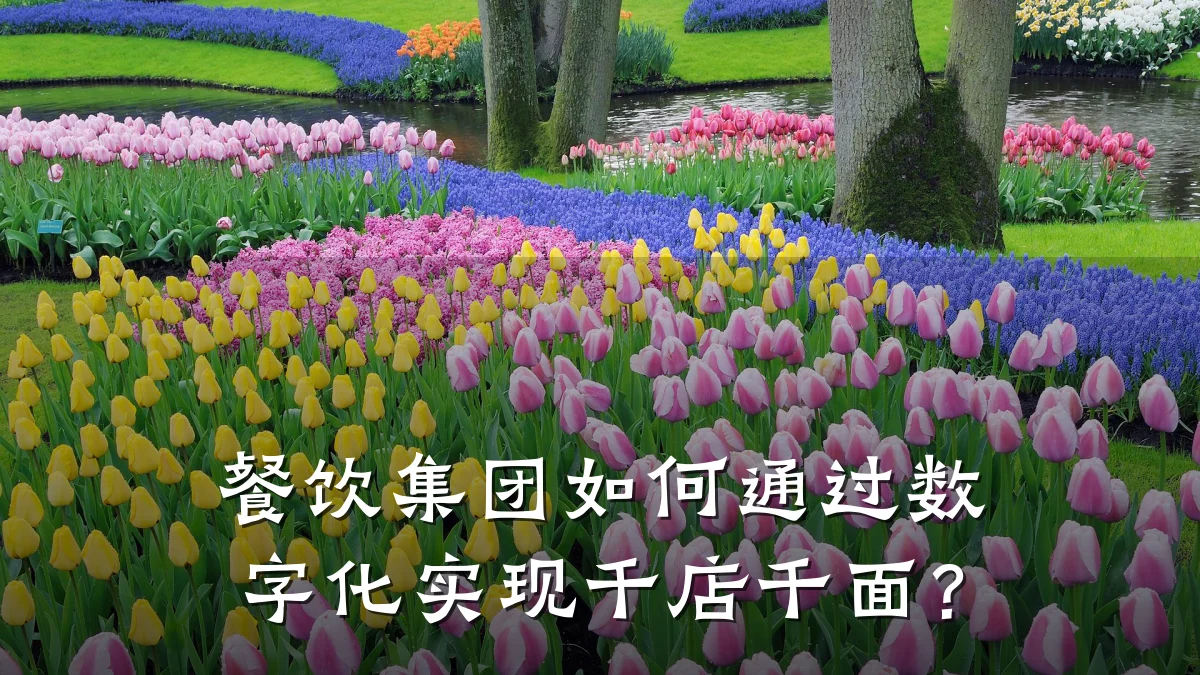 餐饮集团如何通过数字化实现千店千面？