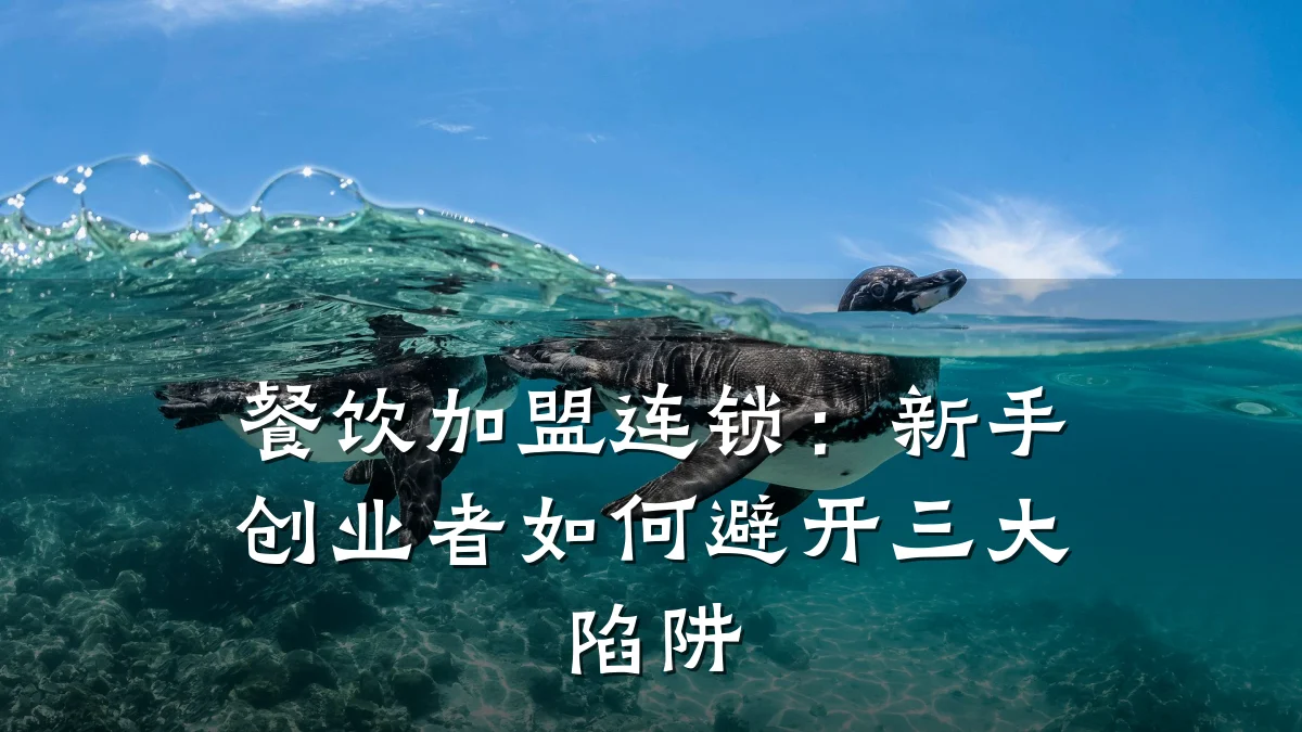 餐饮加盟连锁：新手创业者如何避开三大陷阱