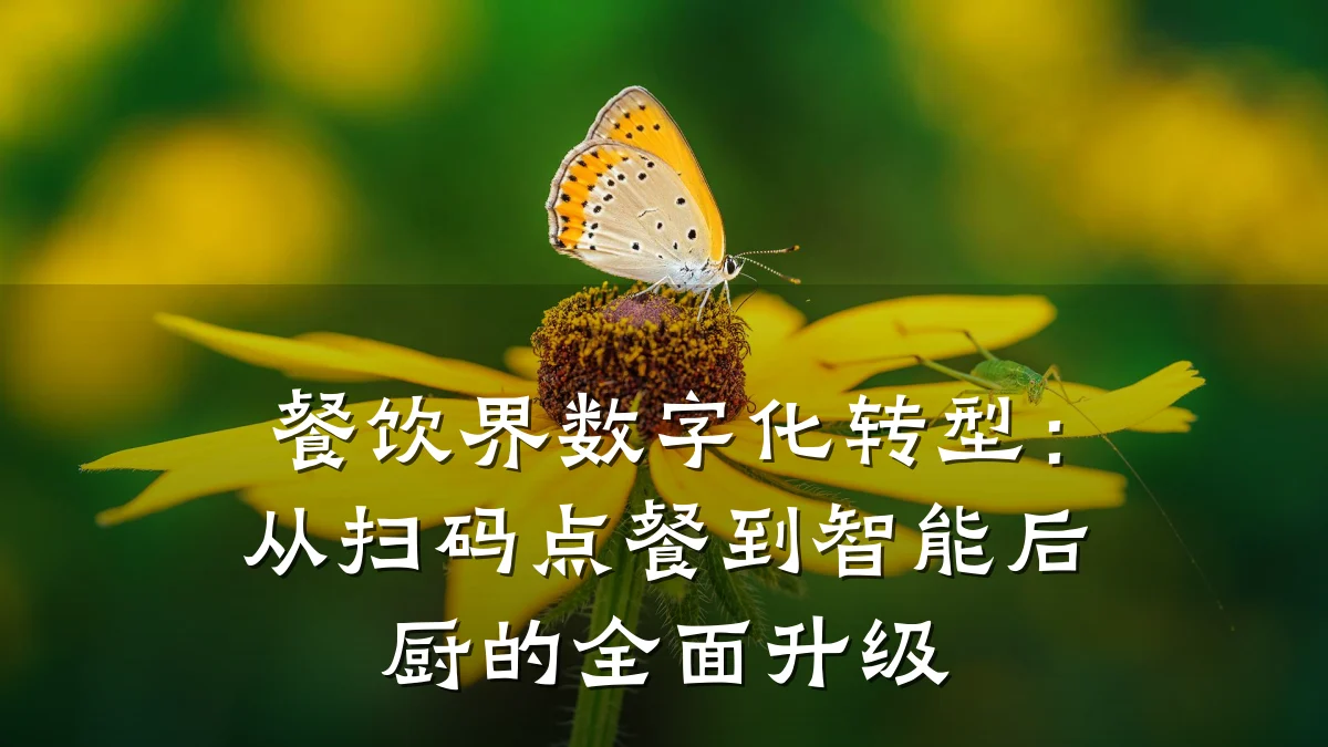 餐饮界数字化转型：从扫码点餐到智能后厨的全面升级