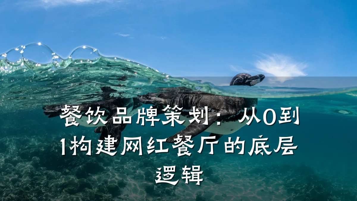 餐饮品牌策划：从0到1构建网红餐厅的底层逻辑