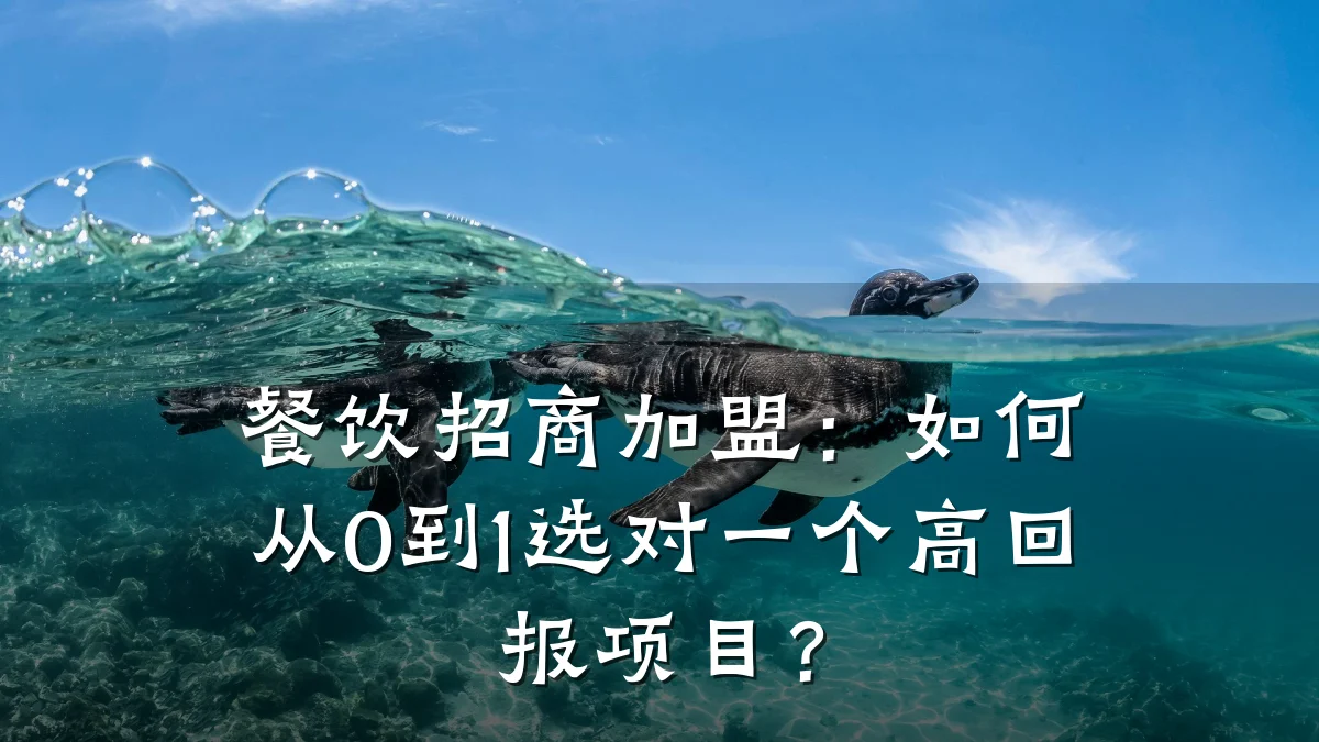 餐饮招商加盟：如何从0到1选对一个高回报项目？