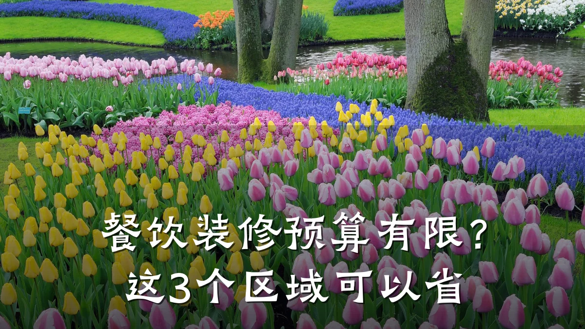 餐饮装修预算有限？这3个区域可以省