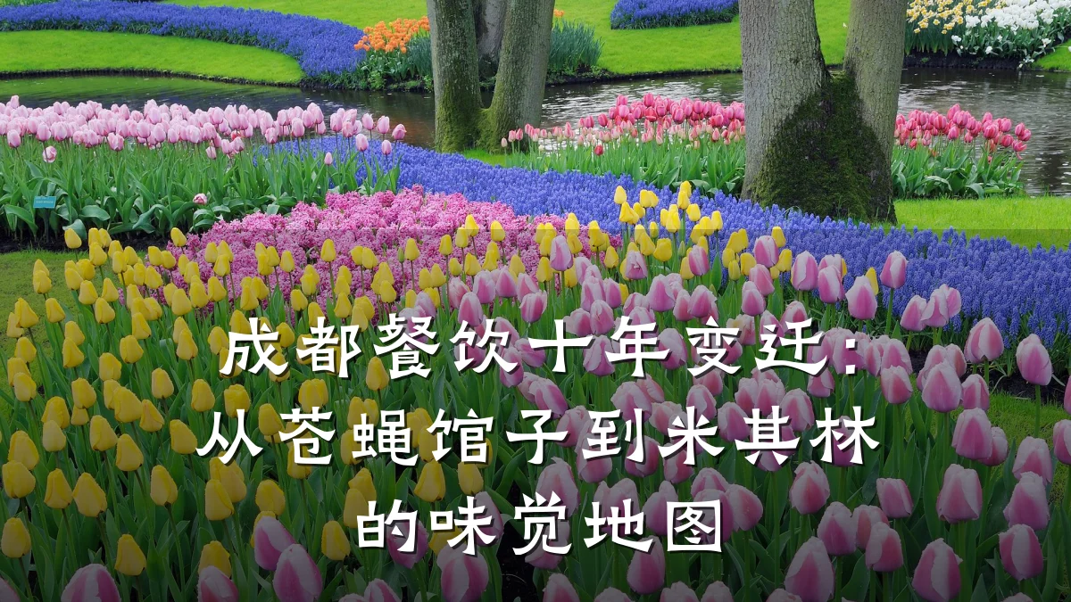 成都餐饮十年变迁：从苍蝇馆子到米其林的味觉地图