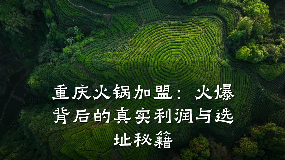 重庆火锅加盟：火爆背后的真实利润与选址秘籍