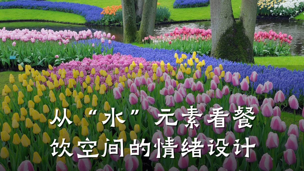 从“水”元素看餐饮空间的情绪设计