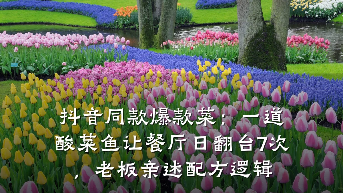 抖音同款爆款菜：一道酸菜鱼让餐厅日翻台7次，老板亲述配方逻辑