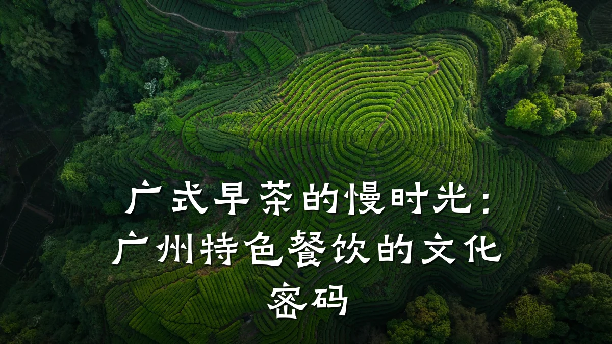 广式早茶的慢时光：广州特色餐饮的文化密码