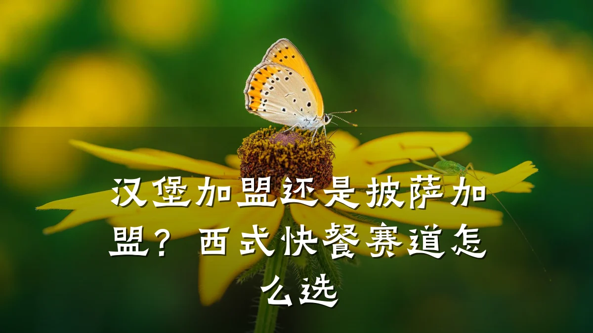 汉堡加盟还是披萨加盟？西式快餐赛道怎么选