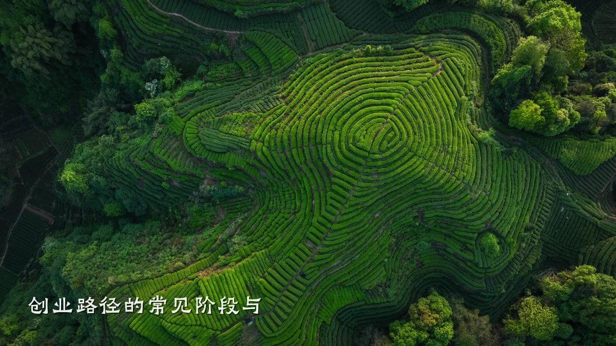 创业路径的常见阶段与