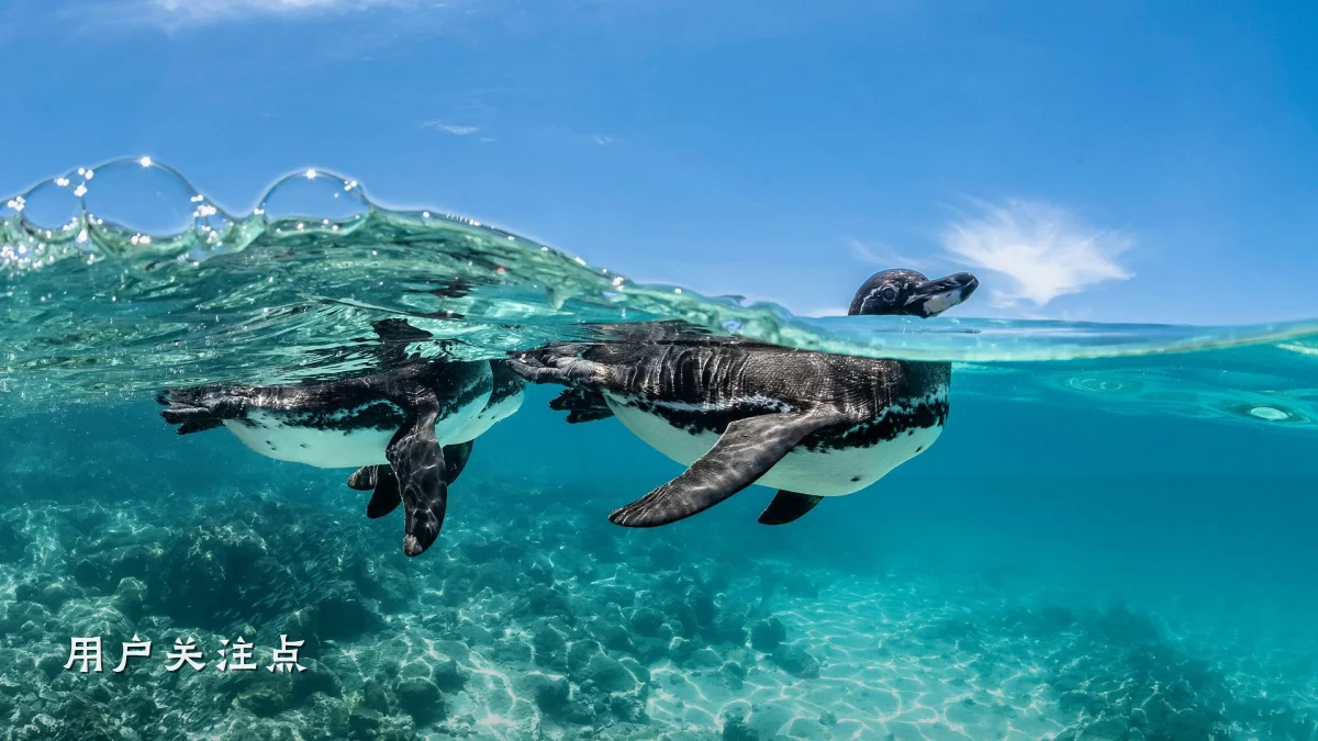 用户关注点