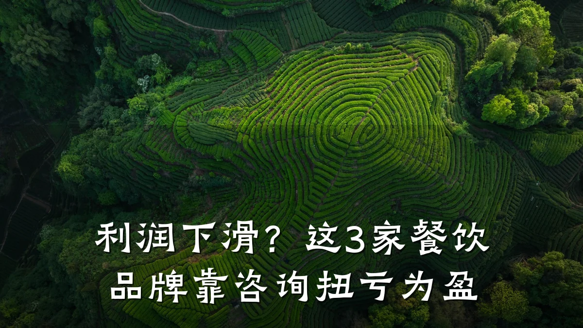 利润下滑？这3家餐饮品牌靠咨询扭亏为盈