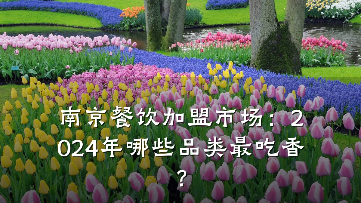 南京餐饮加盟市场：2024年哪些品类最吃香？