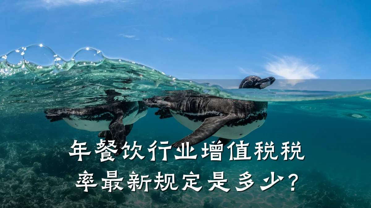 年餐饮行业增值税税率最新规定是多少？