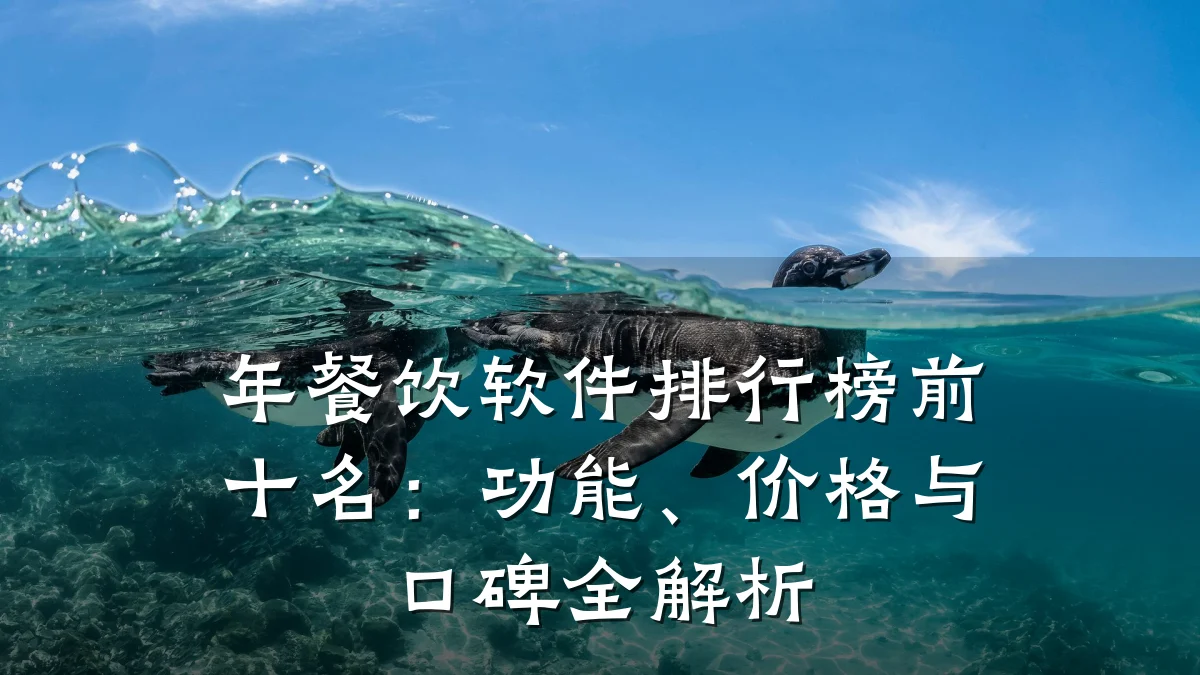 年餐饮软件排行榜前十名：功能、价格与口碑全解析