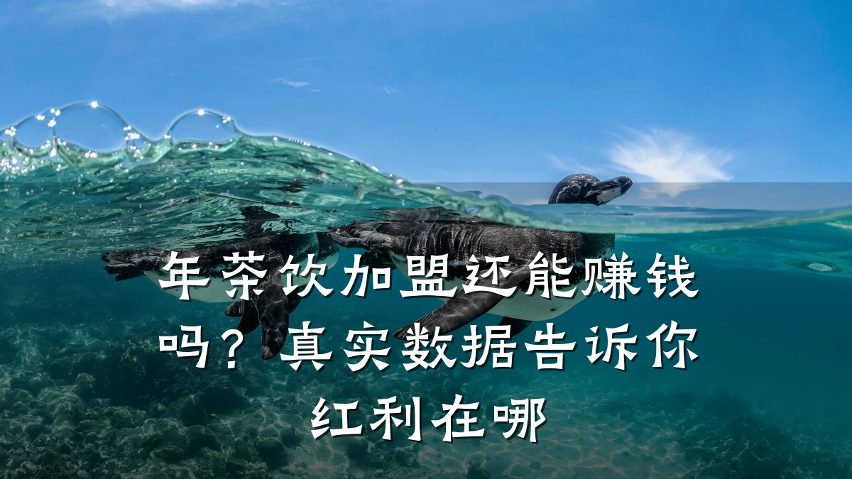 年茶饮加盟还能赚钱吗？真实数据告诉你红利在哪
