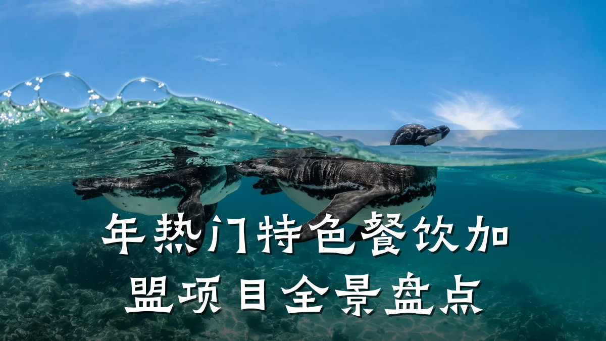 年热门特色餐饮加盟项目全景盘点
