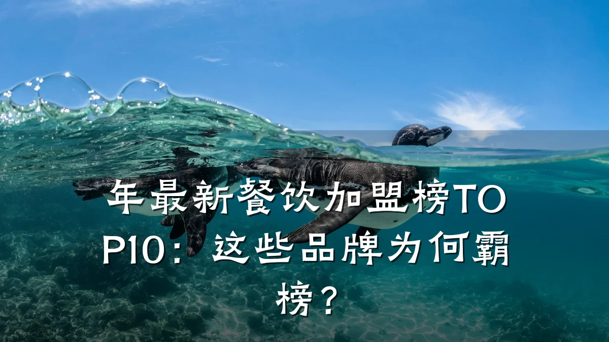 年最新餐饮加盟榜TOP10：这些品牌为何霸榜？