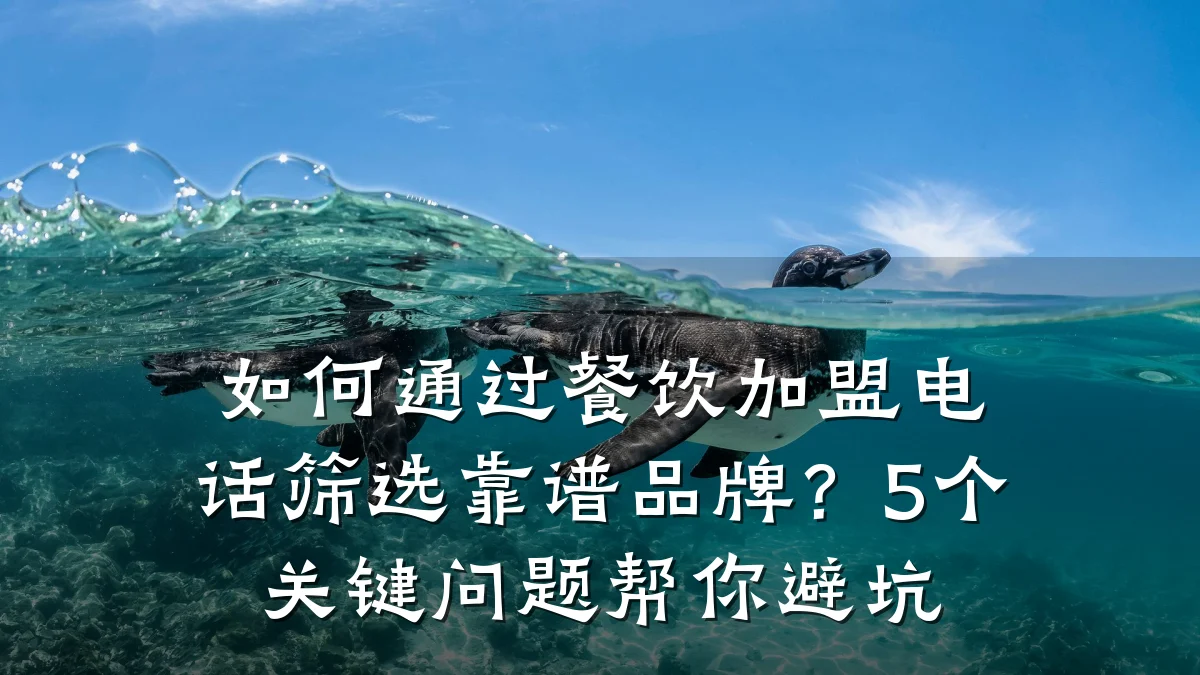 如何通过餐饮加盟电话筛选靠谱品牌？5个关键问题帮你避坑