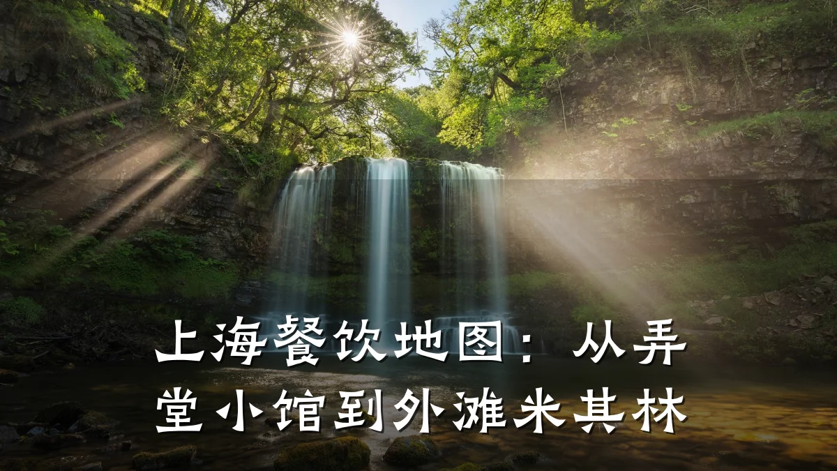上海餐饮地图：从弄堂小馆到外滩米其林