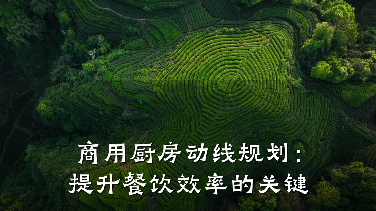 商用厨房动线规划：提升餐饮效率的关键
