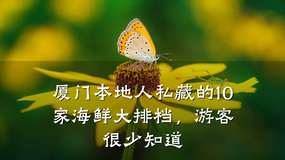 厦门本地人私藏的10家海鲜大排档，游客很少知道