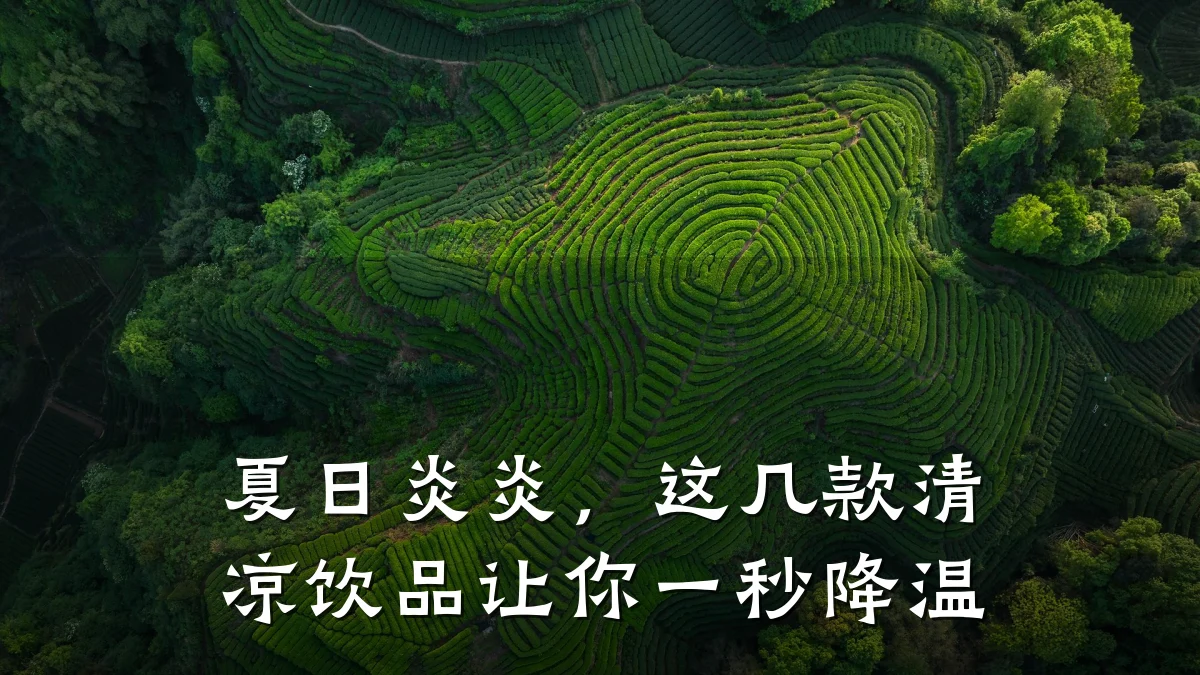 夏日炎炎,这几款清凉饮品让你一秒降温