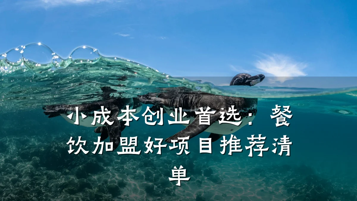 小成本创业首选：餐饮加盟好项目推荐清单