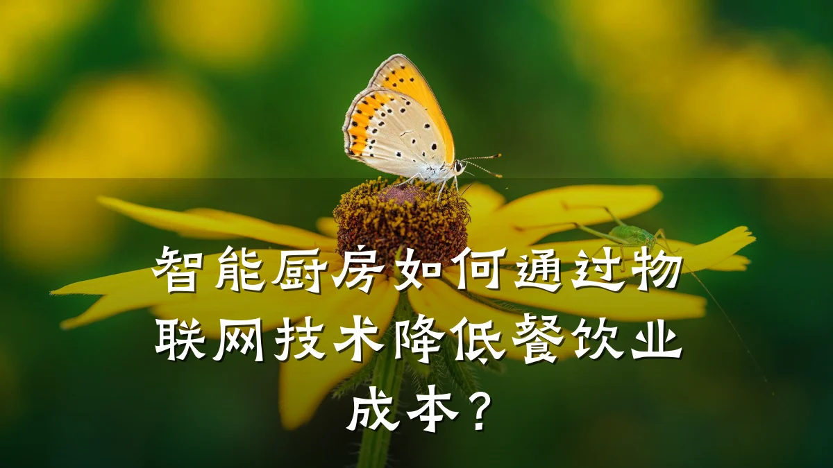 智能厨房如何通过物联网技术降低餐饮业成本？