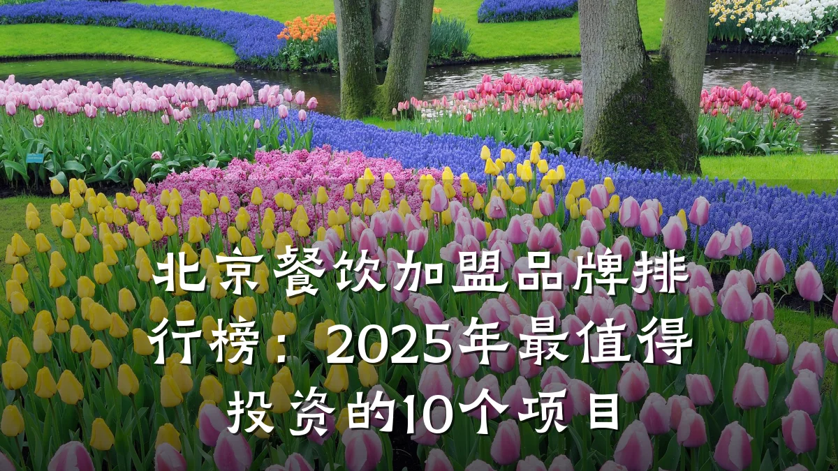 北京餐饮加盟品牌排行榜：2025年最值得投资的10个项目