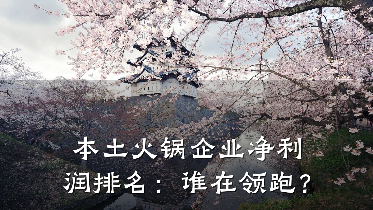 本土火锅企业净利润排名：谁在领跑？