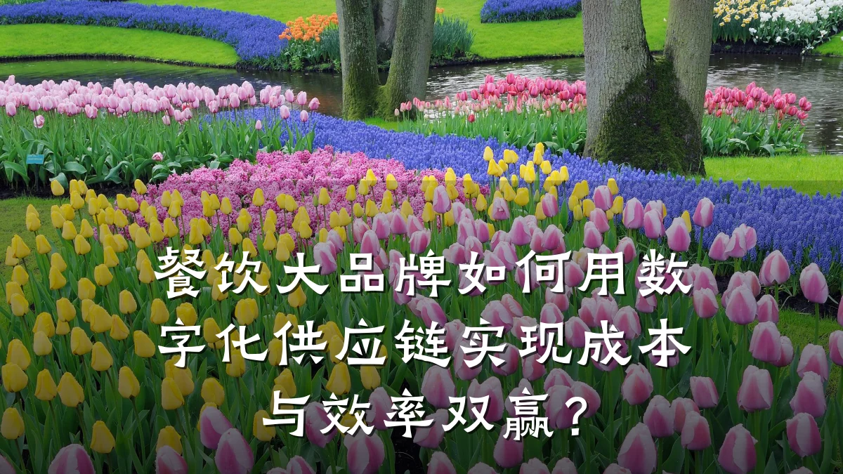 餐饮大品牌如何用数字化供应链实现成本与效率双赢？