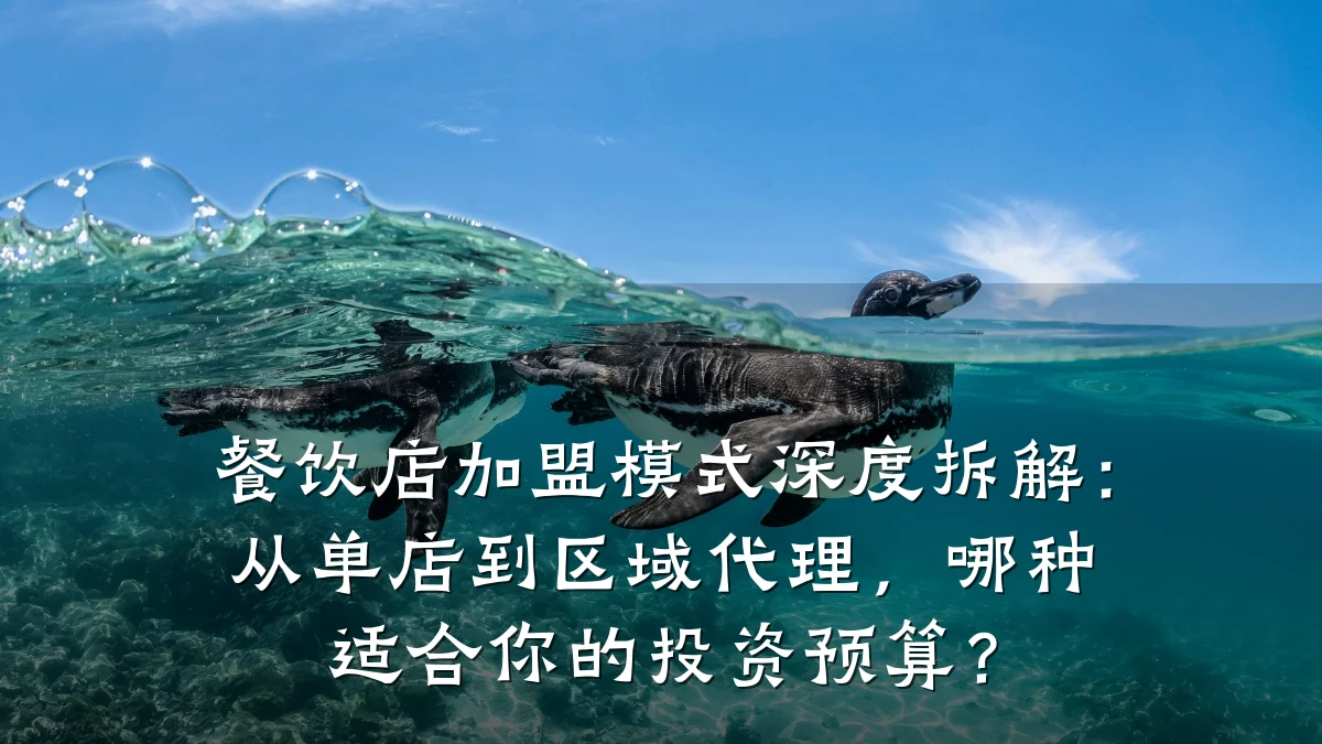 餐饮店加盟模式深度拆解：从单店到区域代理，哪种适合你的投资预算？