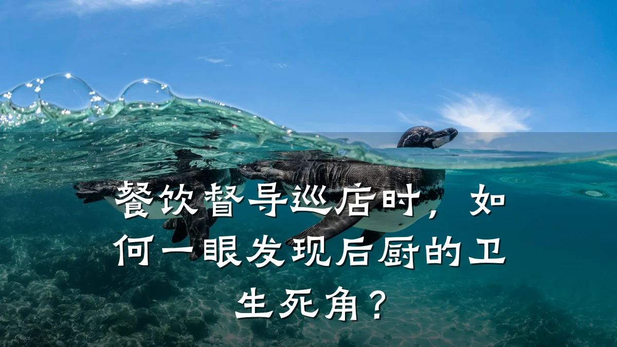 餐饮督导巡店时，如何一眼发现后厨的卫生死角？