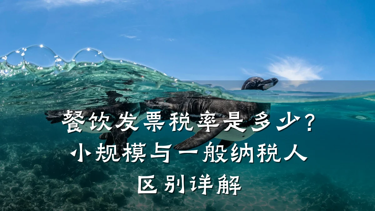 餐饮发票税率是多少？小规模与一般纳税人区别详解