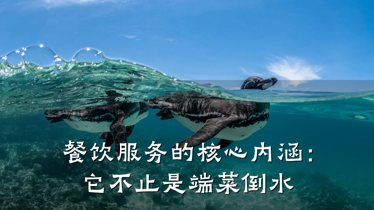 餐饮服务的核心内涵：它不止是端菜倒水