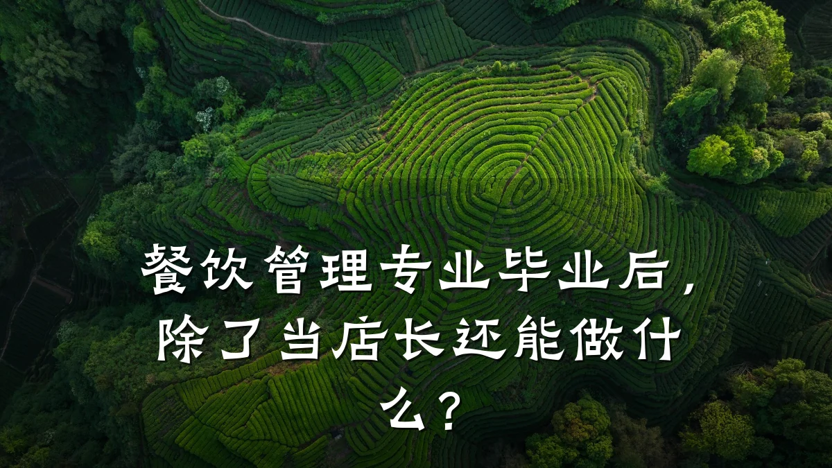 餐饮管理专业毕业后,除了当店长还能做什么?