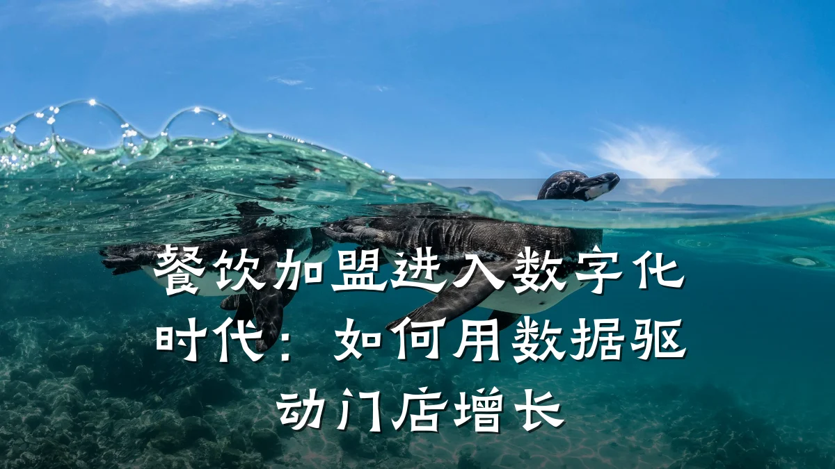 餐饮加盟进入数字化时代：如何用数据驱动门店增长