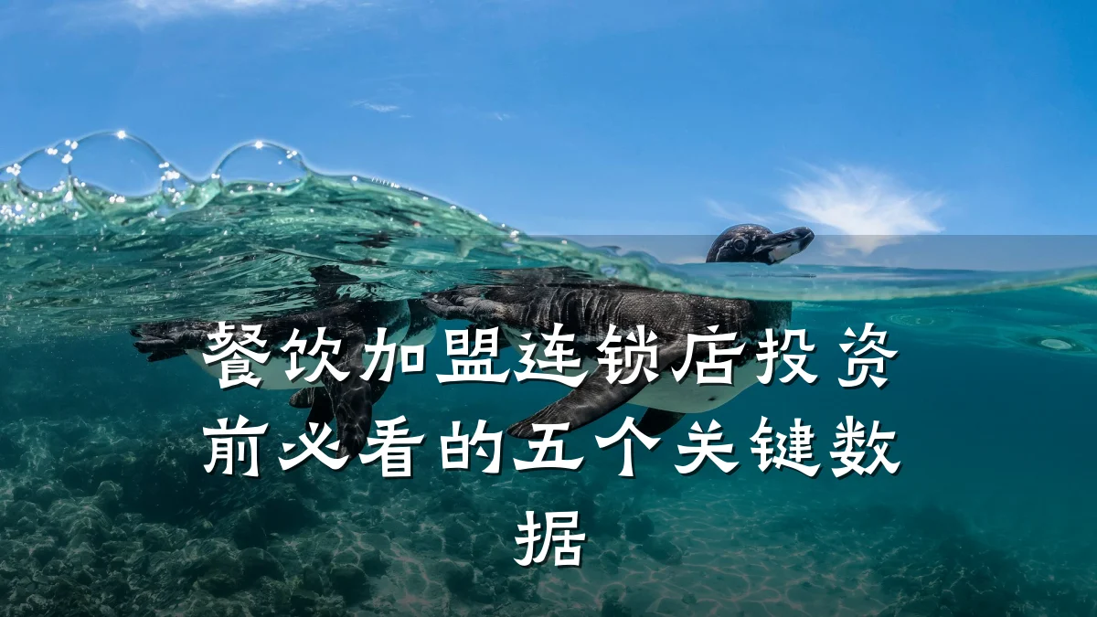 餐饮加盟连锁店投资前必看的五个关键数据