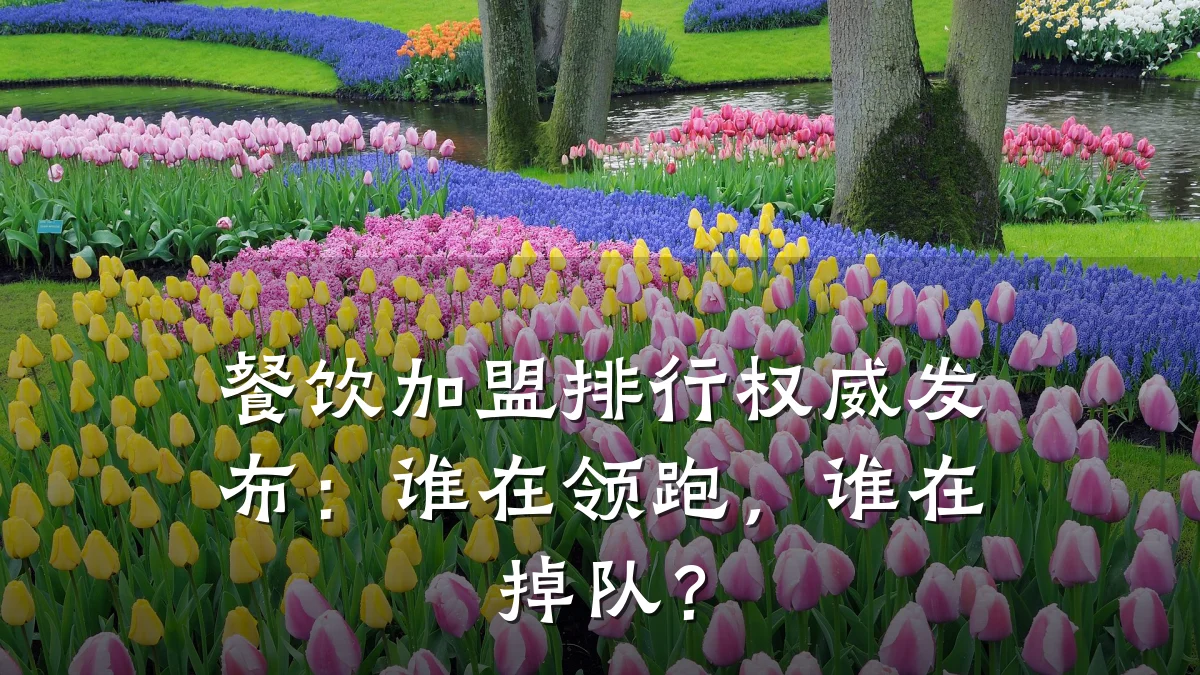 餐饮加盟排行权威发布：谁在领跑，谁在掉队？