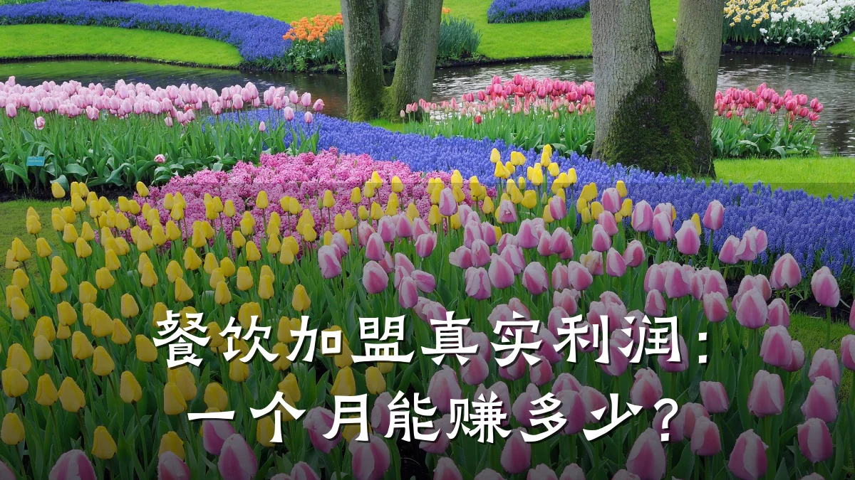 餐饮加盟真实利润：一个月能赚多少？