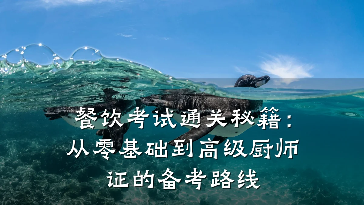 餐饮考试通关秘籍：从零基础到高级厨师证的备考路线