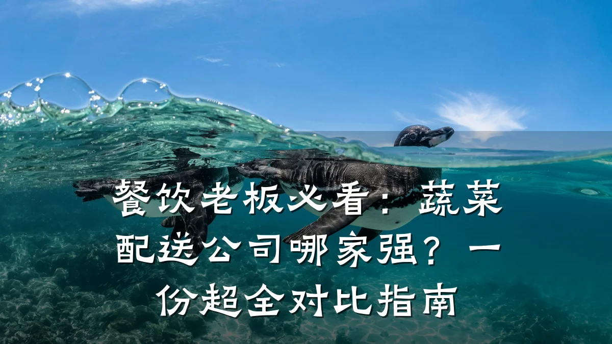 餐饮老板必看：蔬菜配送公司哪家强？一份超全对比指南